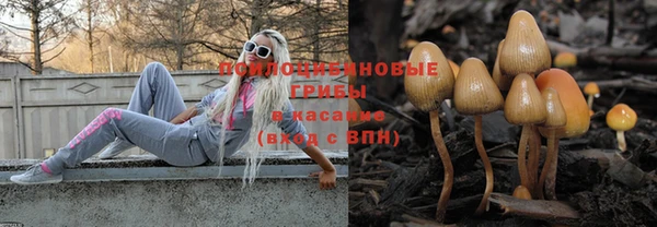стаф Кукмор
