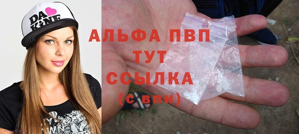 стаф Кукмор