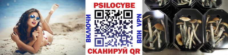Галлюциногенные грибы GOLDEN TEACHER  Купить где  Минеральные Воды 